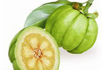 New Garcinia Cambogia - Rio de Janeiro